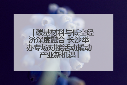 碳基材料与低空经济深度融合 长沙举办专场对接活动撬动产业新机遇