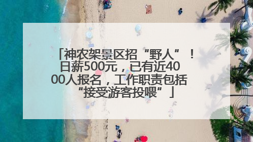 神农架景区招“野人”！日薪500元，已有近4000人报名，工作职责包括“接受游客投喂”