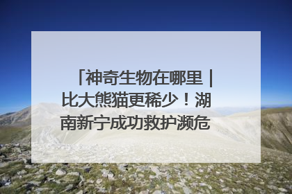 神奇生物在哪里｜比大熊猫更稀少！湖南新宁成功救护濒危鸟类海南鳽