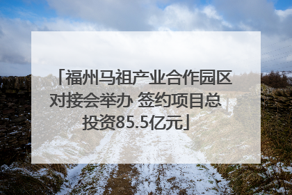 福州马祖产业合作园区对接会举办 签约项目总投资85.5亿元