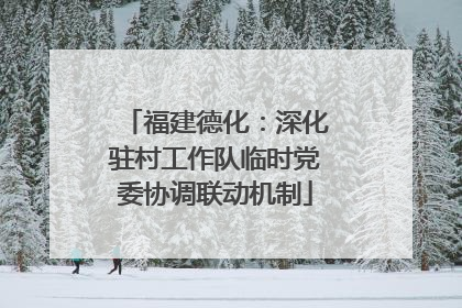 福建德化：深化驻村工作队临时党委协调联动机制