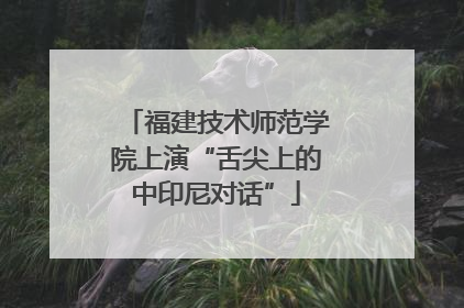 福建技术师范学院上演“舌尖上的中印尼对话”