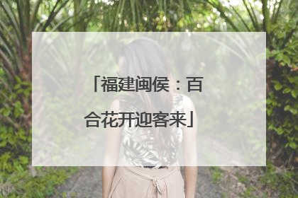 福建闽侯：百合花开迎客来