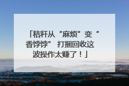秸秆从“麻烦”变“香饽饽” 打捆回收这波操作太赚了！