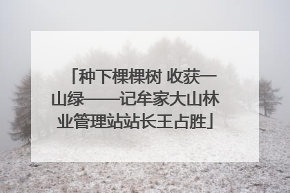 种下棵棵树 收获一山绿——记牟家大山林业管理站站长王占胜