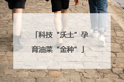 科技“沃土”孕育油菜“金种”