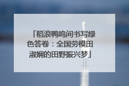 稻浪鸭鸣间书写绿色答卷：全国劳模田淑娴的田野振兴梦