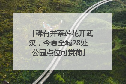 稀有并蒂莲花开武汉，今夏全城28处公园点位可赏荷