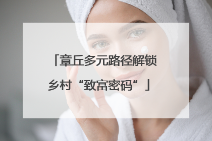 章丘多元路径解锁乡村“致富密码”