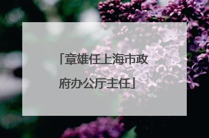章雄任上海市政府办公厅主任