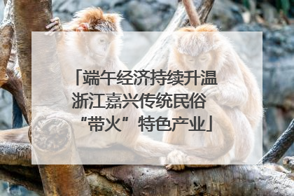 端午经济持续升温 浙江嘉兴传统民俗“带火”特色产业