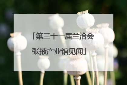 第三十一届兰洽会张掖产业馆见闻
