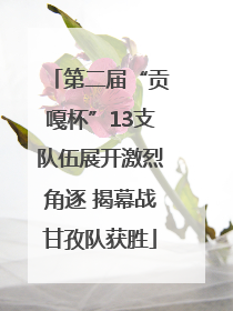 第二届“贡嘎杯”13支队伍展开激烈角逐 揭幕战甘孜队获胜