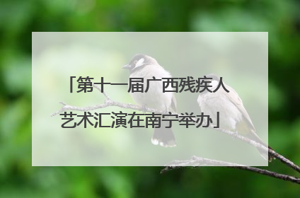 第十一届广西残疾人艺术汇演在南宁举办