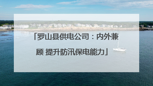 罗山县供电公司：内外兼顾 提升防汛保电能力