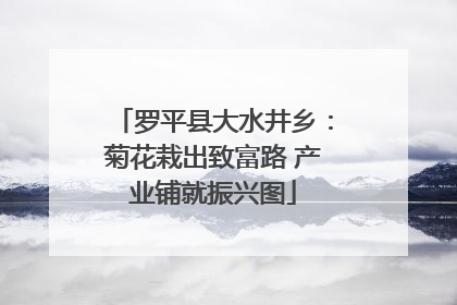 罗平县大水井乡：菊花栽出致富路 产业铺就振兴图