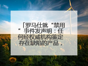 罗马仕就“禁用”事件发声明：任何经权威机构鉴定存在缺陷的产品，将依法负全责