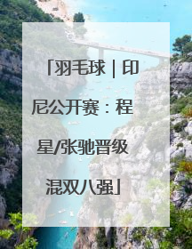 羽毛球｜印尼公开赛：程星/张驰晋级混双八强