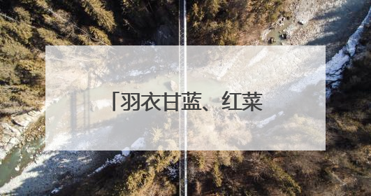 羽衣甘蓝、红菜头怎么就成了“顶流”食材？