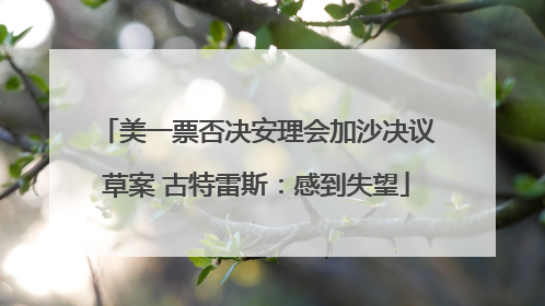 美一票否决安理会加沙决议草案 古特雷斯：感到失望