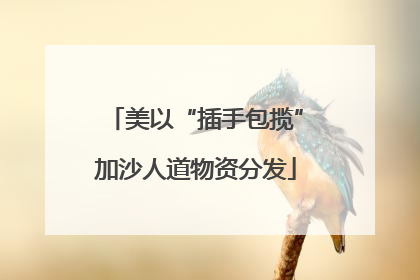美以“插手包揽”加沙人道物资分发