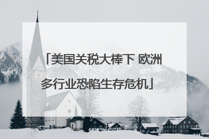 美国关税大棒下 欧洲多行业恐陷生存危机