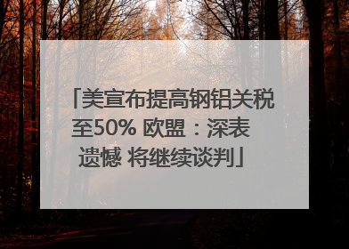 美宣布提高钢铝关税至50% 欧盟：深表遗憾 将继续谈判