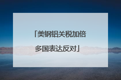 美钢铝关税加倍 多国表达反对