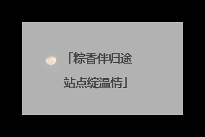 粽香伴归途 站点绽温情