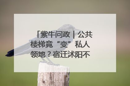 紫牛问政｜公共楼梯竟“变”私人领地？宿迁沭阳不动产登记引质疑