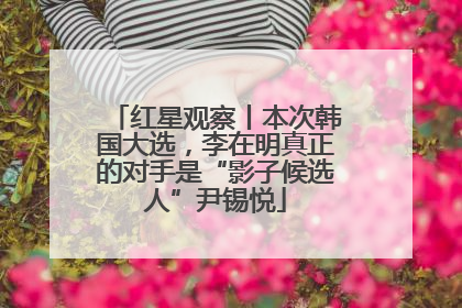 红星观察丨本次韩国大选，李在明真正的对手是“影子候选人”尹锡悦