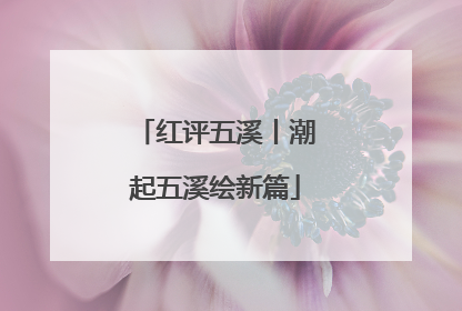 红评五溪丨潮起五溪绘新篇