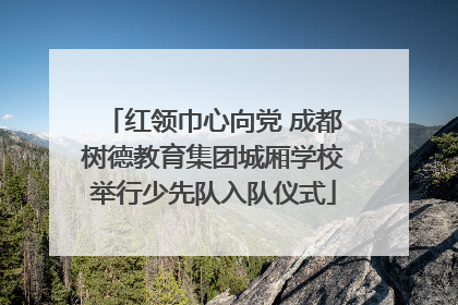 红领巾心向党 成都树德教育集团城厢学校举行少先队入队仪式