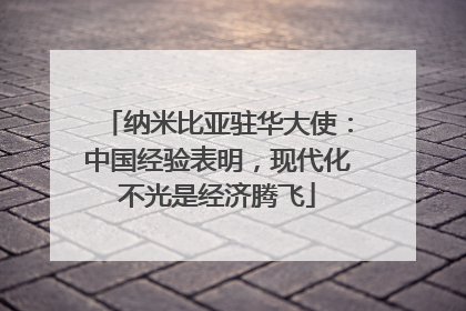纳米比亚驻华大使：中国经验表明，现代化不光是经济腾飞