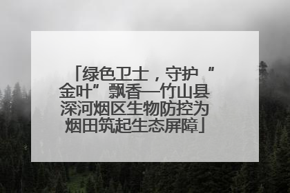 绿色卫士，守护“金叶”飘香—竹山县深河烟区生物防控为烟田筑起生态屏障