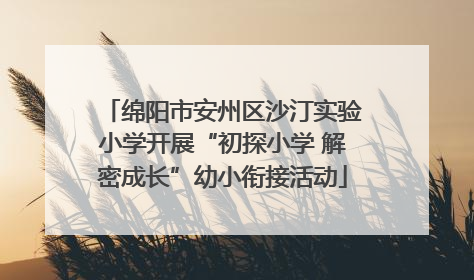 绵阳市安州区沙汀实验小学开展“初探小学 解密成长”幼小衔接活动