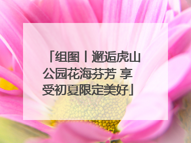 组图丨邂逅虎山公园花海芬芳 享受初夏限定美好