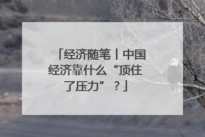 经济随笔丨中国经济靠什么“顶住了压力”？