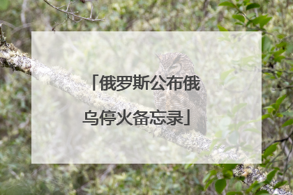 俄罗斯公布俄乌停火备忘录