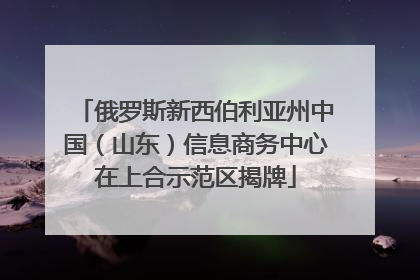 俄罗斯新西伯利亚州中国（山东）信息商务中心在上合示范区揭牌