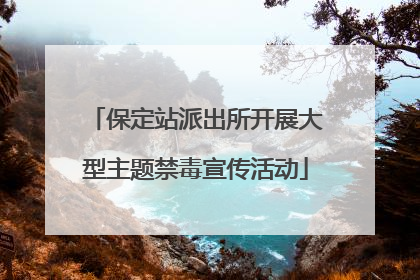 保定站派出所开展大型主题禁毒宣传活动