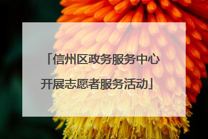 信州区政务服务中心开展志愿者服务活动