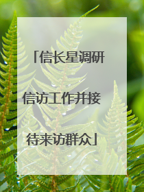 信长星调研信访工作并接待来访群众