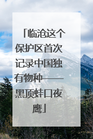临沧这个保护区首次记录中国独有物种——黑顶蛙口夜鹰