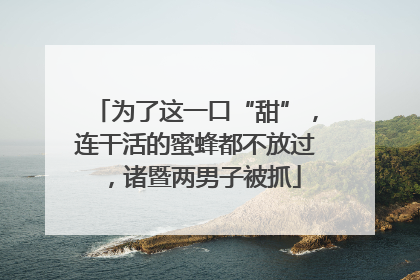 为了这一口“甜”，连干活的蜜蜂都不放过，诸暨两男子被抓