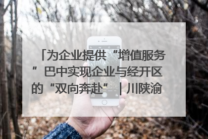 为企业提供“增值服务”巴中实现企业与经开区的“双向奔赴”｜川陕渝网络名人巴中行