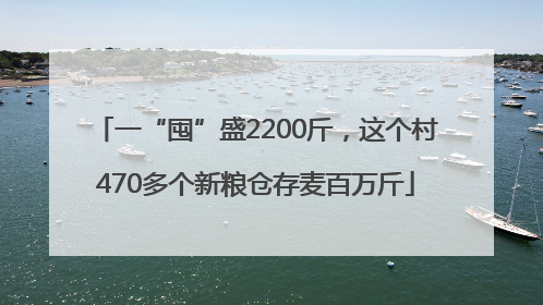 一“囤”盛2200斤，这个村470多个新粮仓存麦百万斤
