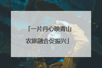 一片丹心映青山 农旅融合促振兴