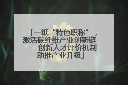 一纸“特色职称”，激活碳纤维产业创新链——创新人才评价机制 助推产业升级