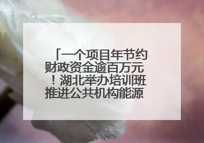 一个项目年节约财政资金逾百万元！湖北举办培训班推进公共机构能源费用托管工作